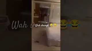 Wah shampi wah 😂😂😂😂😂