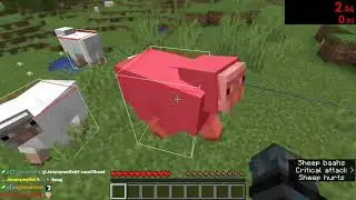 kill pink sheep WR?? (3.6 seconds)
