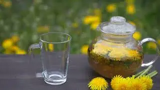 The Benefits of Yellow Dock Herb