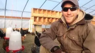 Freezing chicken waterers
