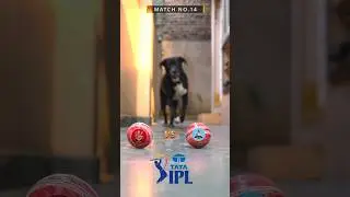 RCB VS GT MATCH PREDICTION | IPL 2025 | MATCH NO.14 | #ipl2025 #rcb #gt #predictions #shortvideo