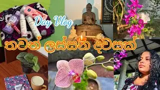 ජීවිතේම වෙනස් කරපු පුරුදු 🍃💕| Day Vlog #selflove #dayvlogsinhala #resetyourmindset #dayinmylife 