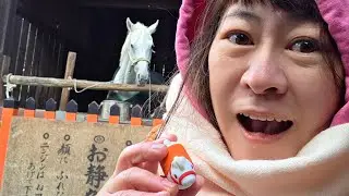 2026正月＞前進京都與我的白馬王子相見in上賀茂神社