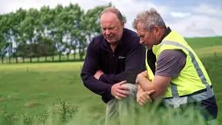 Cambrilea Weed Spraying - Californian Thistle Control