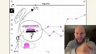 Why Atheism is False (A Muslims Perspective)