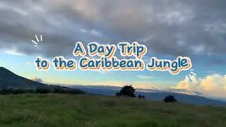 🪷🪐Costa Rica’s Caribbean Side: Night Owls, White Bats, and the Wild Magic of the Jungle