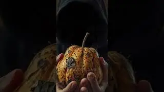 Why Did the Forbidden Fruit Change Everything?
