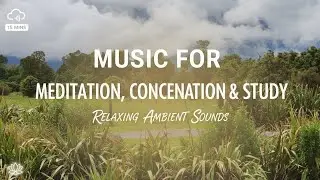 15 mins Music for Meditation, Concentrate Working & Study, Relaxing Ambinent in NewZealand Glassland