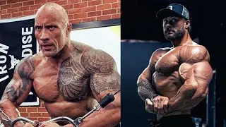 STOP PROCRASTINATING AND GO WORK OUT AT THE GYM RIGHT NOW