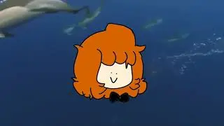 Shoting Star's | meme