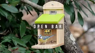 M&eacute;sanges open bar