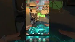 1 VS 7 SAGE WALL!