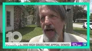 Dunedin man fined $30,000 for uncut grass code violations loses another round in court