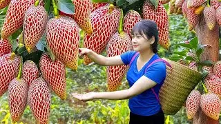 Harvest Giant Mutant Hybrid Devil Snake Fruit To Sell - Secret Recipe Traditional Brigadeiro Cake