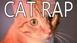 Wannabe Cat | Cat Rap