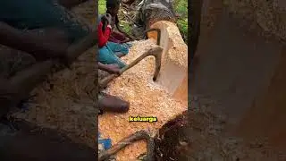 BUKAN NASI! Inilah Makanan Pokok Ajaib dari Hutan Papua!