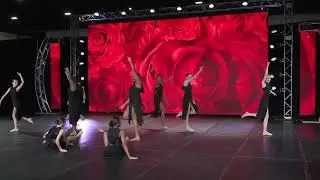 &ldquo;Spider in the Roses&rdquo; - The Danze Zone - Jazz 2025