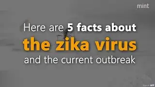 5 facts about the Zika virus and the current outbreak