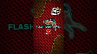 Dog is Flash? 😱🗿| #trollface #troll #edit