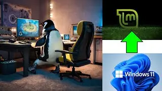 Como &eacute; migrar para o Linux ap&oacute;s o Windows 11 | Minha experi&ecirc;ncia