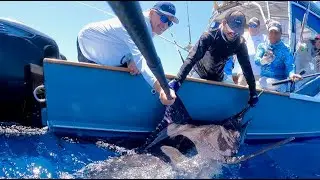 Hooked Up in the Gal&aacute;pagos! Monster Blue Marlin, Spicy Stripes and more &ndash; Unreal Offshore Fishing