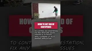 🐛 The Quick Guide to Centipede Infestation Control [DIY Pest Control]