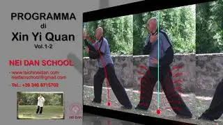 Nei Dan: Programma di Xin Yi Quan