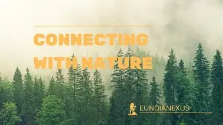 Meditation to help you connect back with nature: Calming and Relaxing vibes