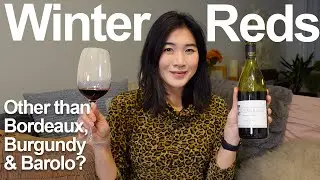 Red Wine Ideas for Winter | Sommelier Favorite Picks