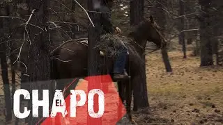 THE WORLD VS EL CHAPO ( The Story Of Patay Patay) #mir4  #mir4global