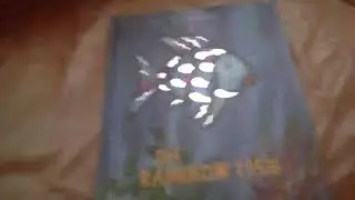 The rainbow fish by DJ Hampton