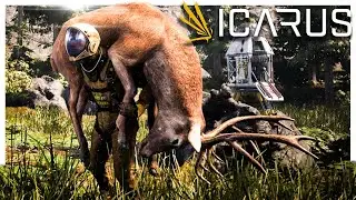 🔴Surviving the Level Grind // ICARUS New Update