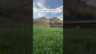 Сам не ожидал что так получится 🔃✅ #sports #lifestyle #flip #train #uzbekistan #extreme