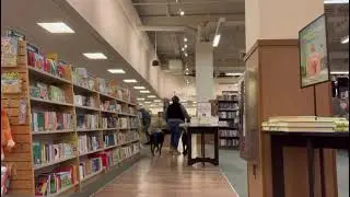 Dog Training Virginia | dog obedience school | pet training | puppy obedience school | OBKS 