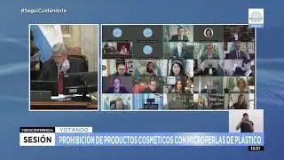 VOTACI&Oacute;N PROHIBICI&Oacute;N MICROPERLAS DE PL&Aacute;STICO + HISTORIA CL&Iacute;NICA DIGITAL - SESI&Oacute;N ORDINARIA 30-11-20