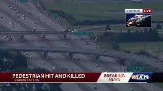 Pedestrian fatally struck on I-264 at I-65
