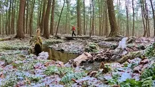 Snow Hiking in Upstate New York | Gilbert Lake