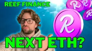 Reef Crypto Unleashes Liquidity (Reef Finance a good investment?)
