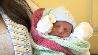 Ikrek lettek az első makói babák
