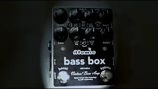 Atomic Amps Bass Box at Winter NAMM 2019