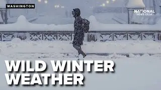 Impacts of wild winter weather up and down the east cost
