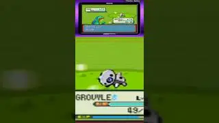 The next team member is caught #letsplaypokemon #pokemon #nintendo #pokemonplaythrough #gaming