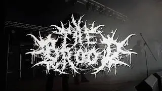 The Brood - Bloodstock Open Air 2018 (The Roots of Hatred - Buried) M2TM