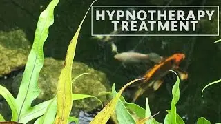 Retrain the Body's Consciousness with Hypnotherapy Treatment