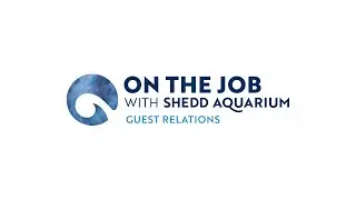 Assistant Director of Guest Relations &ndash; On the Job with Shedd Aquarium