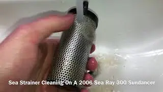 Sea Ray Sundancer Sea Strainer Cleaning
