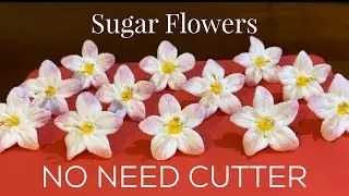 How To Make A Jasmine Flower | Unwired | Gumpaste | No Need Cutter | By SugarCraft Decors