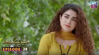 Mere Apne Episode 28 | Ali Abbas - Hajra Yameen | ARY Zindagi