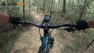 Florida Mountain Biking: Muscogee MTB Trail North Flow Trail to Love Chunks