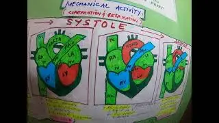 Eng-1B: PULSELESS ELECTRICAL ACTIVITY (PEA)/CARDIAC ARREST